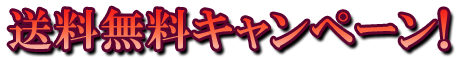 フリー素材「送料無料キャンペーン！」パターン15