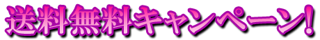 フリー素材「送料無料キャンペーン！」パターン16