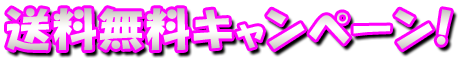 フリー素材「送料無料キャンペーン！」パターン8