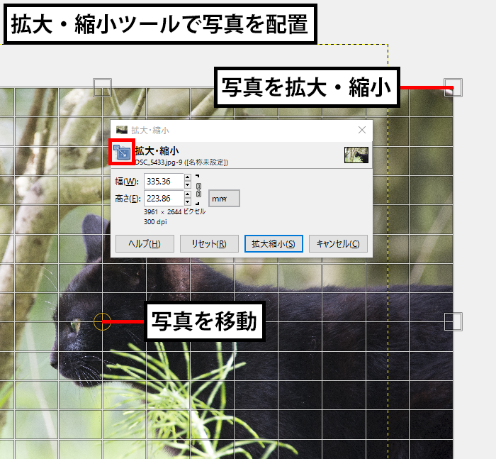 拡大・縮小ツール