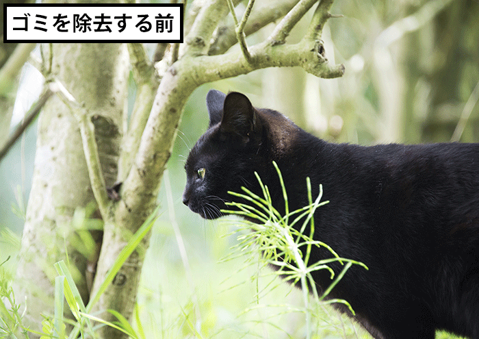 修復ブラシツールの作業結果を比較