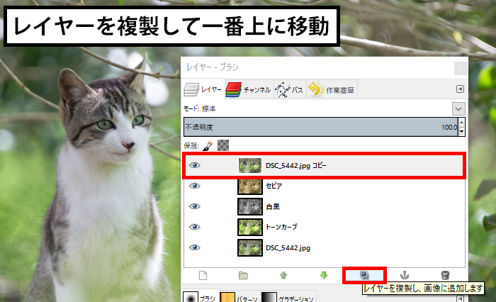 元の写真を複製して移動