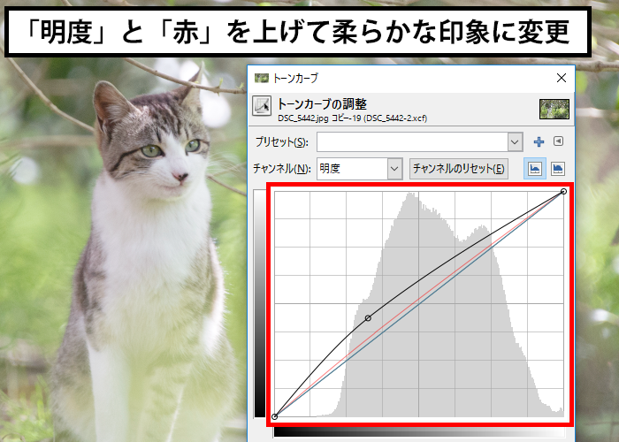 柔らかな雰囲気の写真に変更