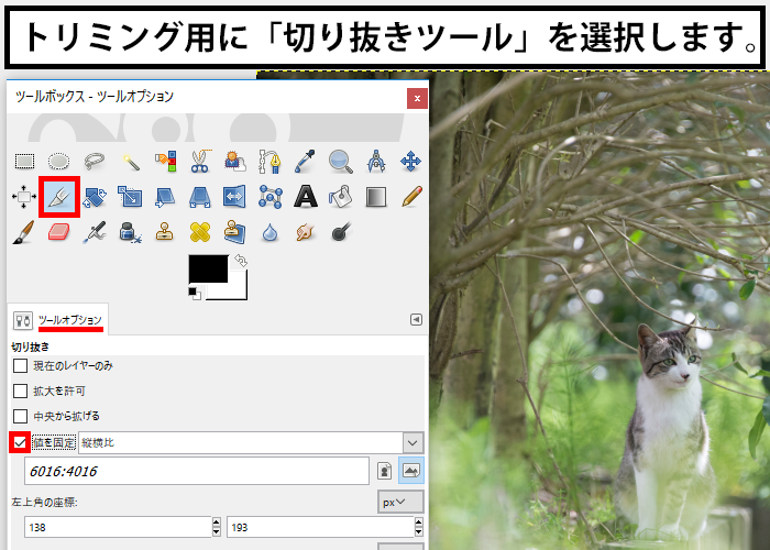 切り抜きツールを選択