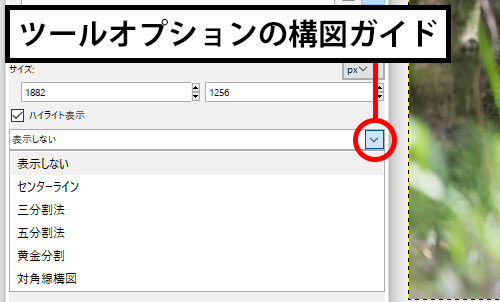 ツールオプションの構図ガイド
