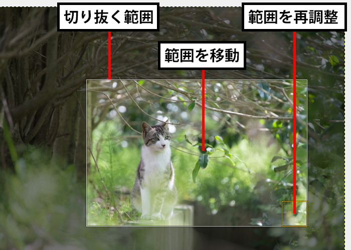 切り抜く範囲を調整