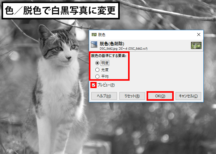 白黒写真に変更