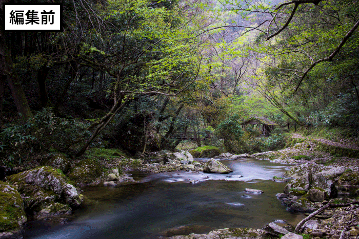 編集前の写真と編集後の写真を比較
