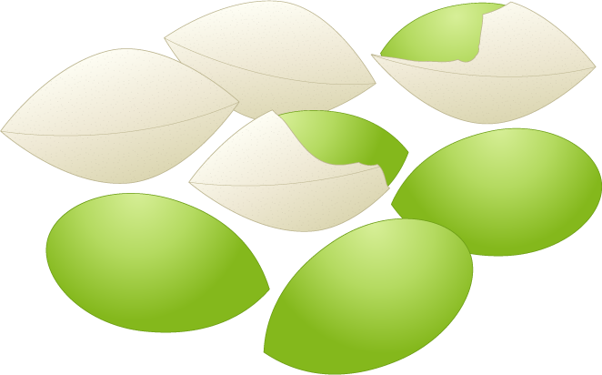 銀杏のフリー素材2