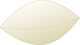 銀杏のフリー素材8