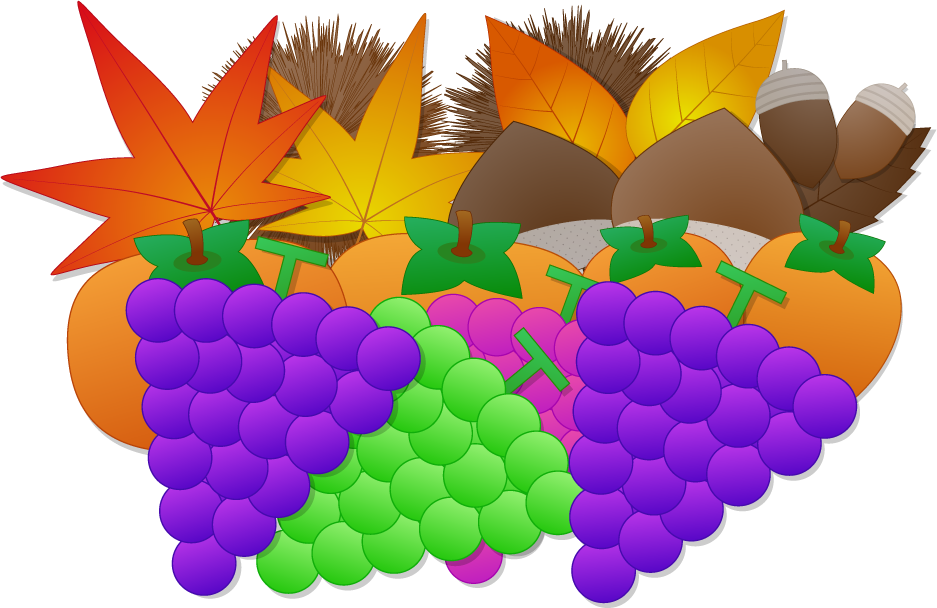 ブドウのフリー素材5