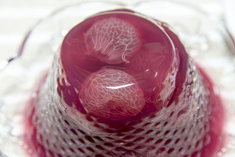 ぶどうゼリーのフリー写真素材3