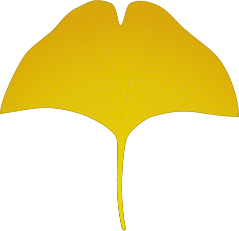 イチョウのフリー素材2