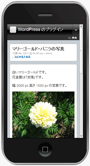 Apple iPhone 3GS で記事本文を確認