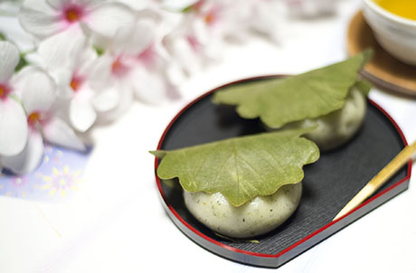 かしわ餅のフリー写真素材1