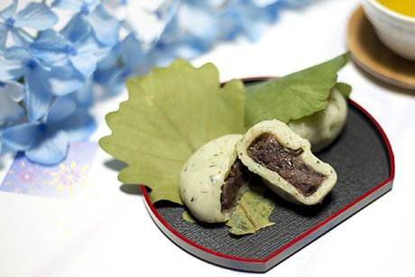 かしわ餅のフリー写真素材11