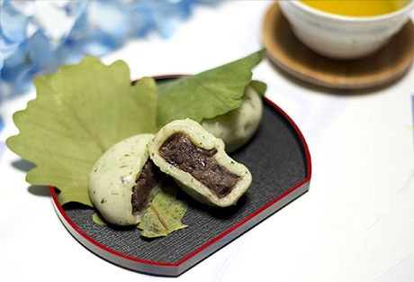 かしわ餅のフリー写真素材12