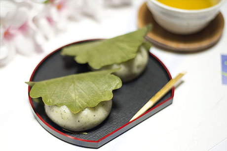 かしわ餅のフリー写真素材2