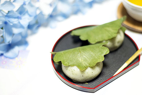 かしわ餅のフリー写真素材3