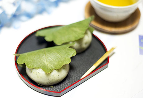 かしわ餅のフリー写真素材4