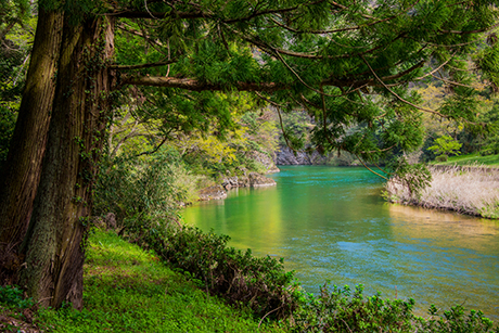 日本の風景写真1（川）