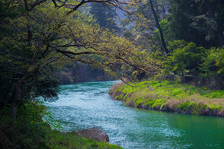 日本の風景写真7（川）