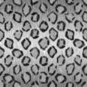 豹柄（灰色）の無料背景画像