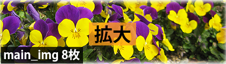 メイン画像1~8