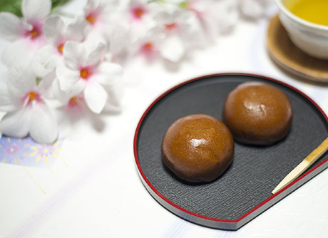 饅頭のフリー写真素材1