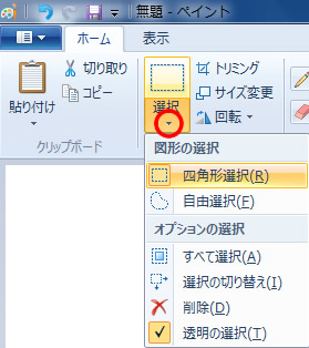 ペイントの選択のオプション