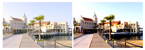 Photoshop CS5 でレベル補正を行った画像の例