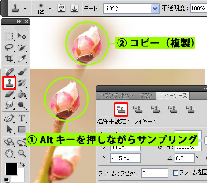 ツールパネルのコピースタンプツール