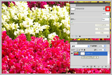 Photoshop CS5 ベクトルマスクの追加