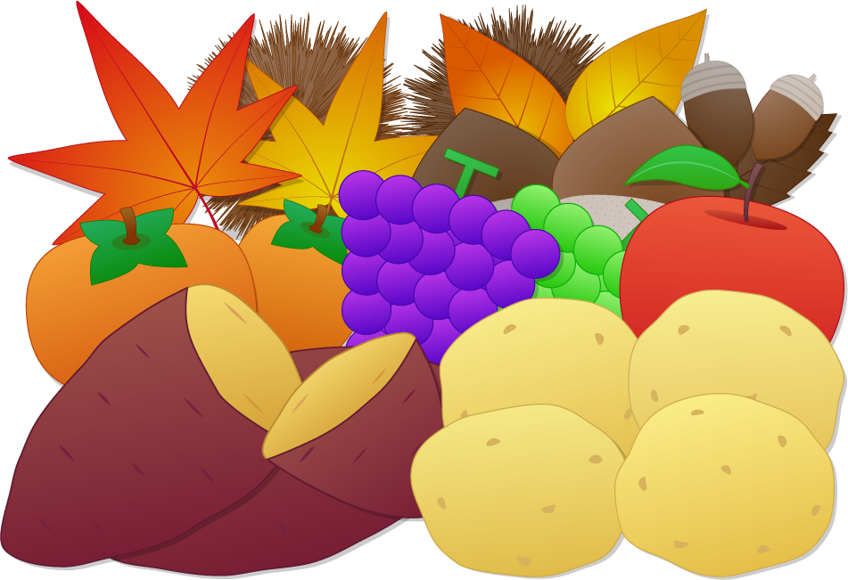 ジャガイモのフリー素材6