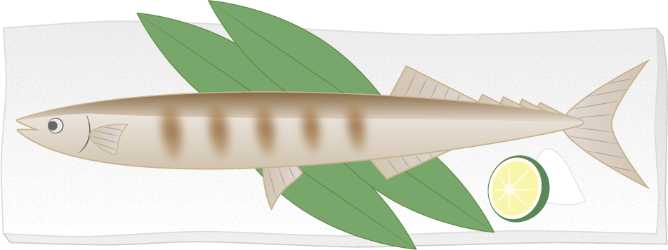 サンマのフリー素材6