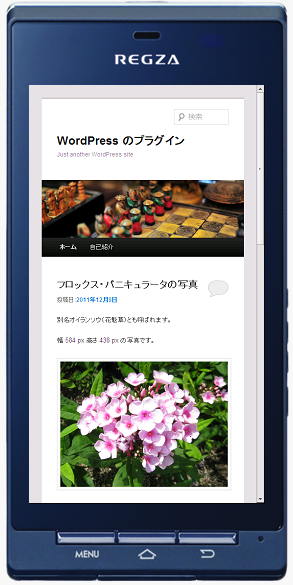 Toshiba REGZA Phone T-01C のシュミレーション結果