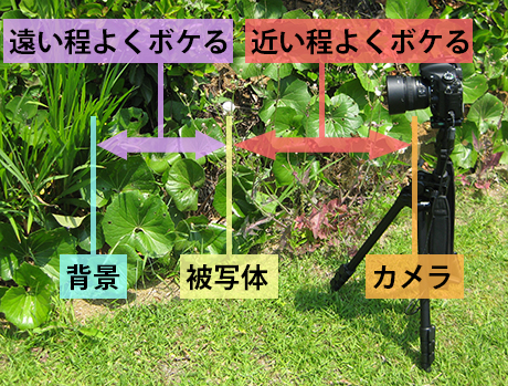 撮影距離とボケの関係