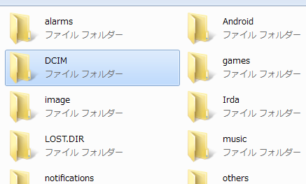 Memory Card に保存されたデータ