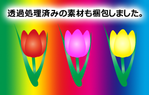 透過処理済みのチューリップ（サンプル）