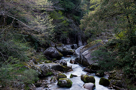 渓谷のフリー写真素材5