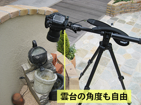 雲台の角度も自由