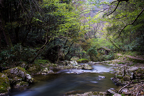 滝のフリー写真素材3