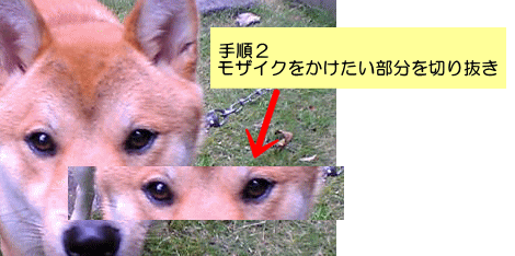 手順2 モザイクをかけたい部分を切り抜き