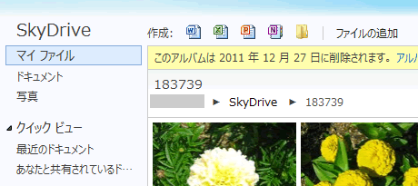 SkyDrive に作成されたフォトアルバム