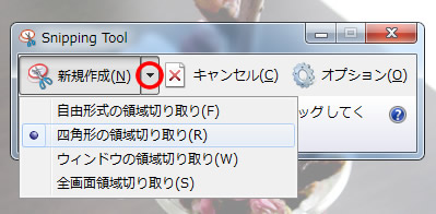 Snipping Tool の新規作成