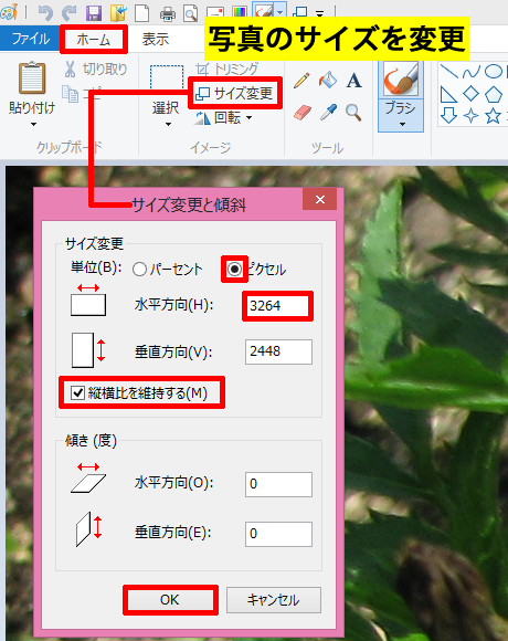 写真のサイズを変更