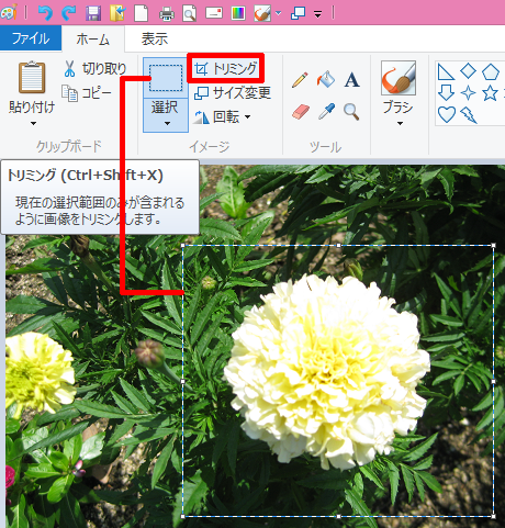 写真をトリミング