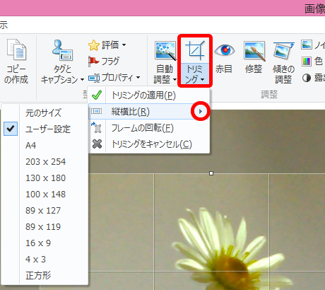 写真をトリミング