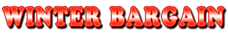 フリー素材「WINTER BARGAIN」パターン17
