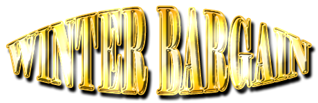 フリー素材「WINTER BARGAIN」パターン22